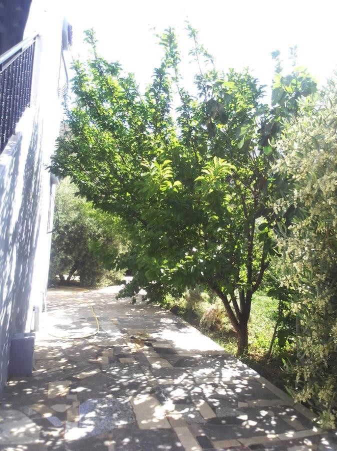 הוילה Belle Maison Au Coeur Des Montagnes De Taza A Moins De 10 Minutes De L'Agora Park מראה חיצוני תמונה